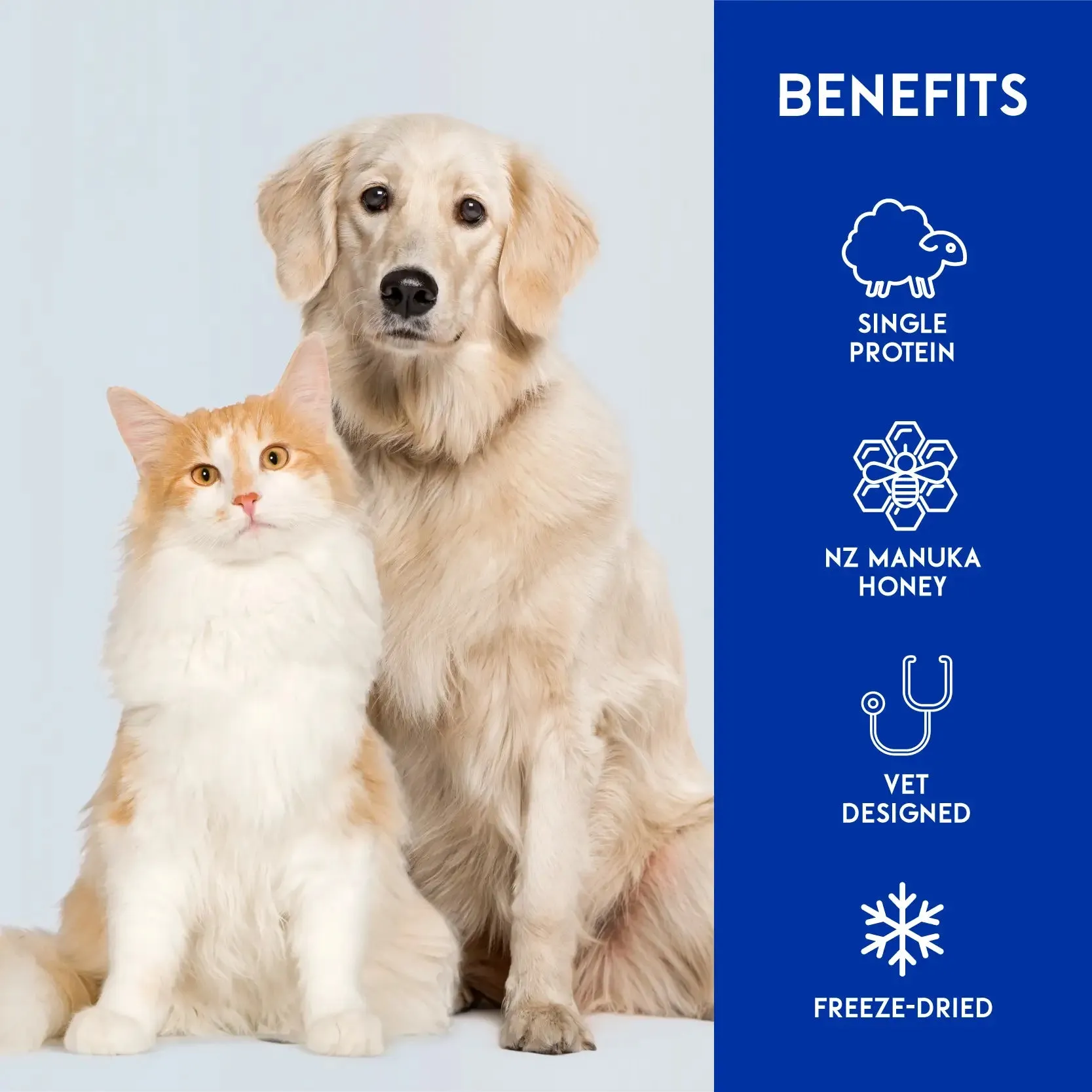 Animalkind Freeze-Dried Raw Cat Treats - Lamb & Manuka 50g