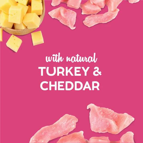Buddy Biscuits Soft & Chewy Grain Free Turkey and Cheddar Cat Treats