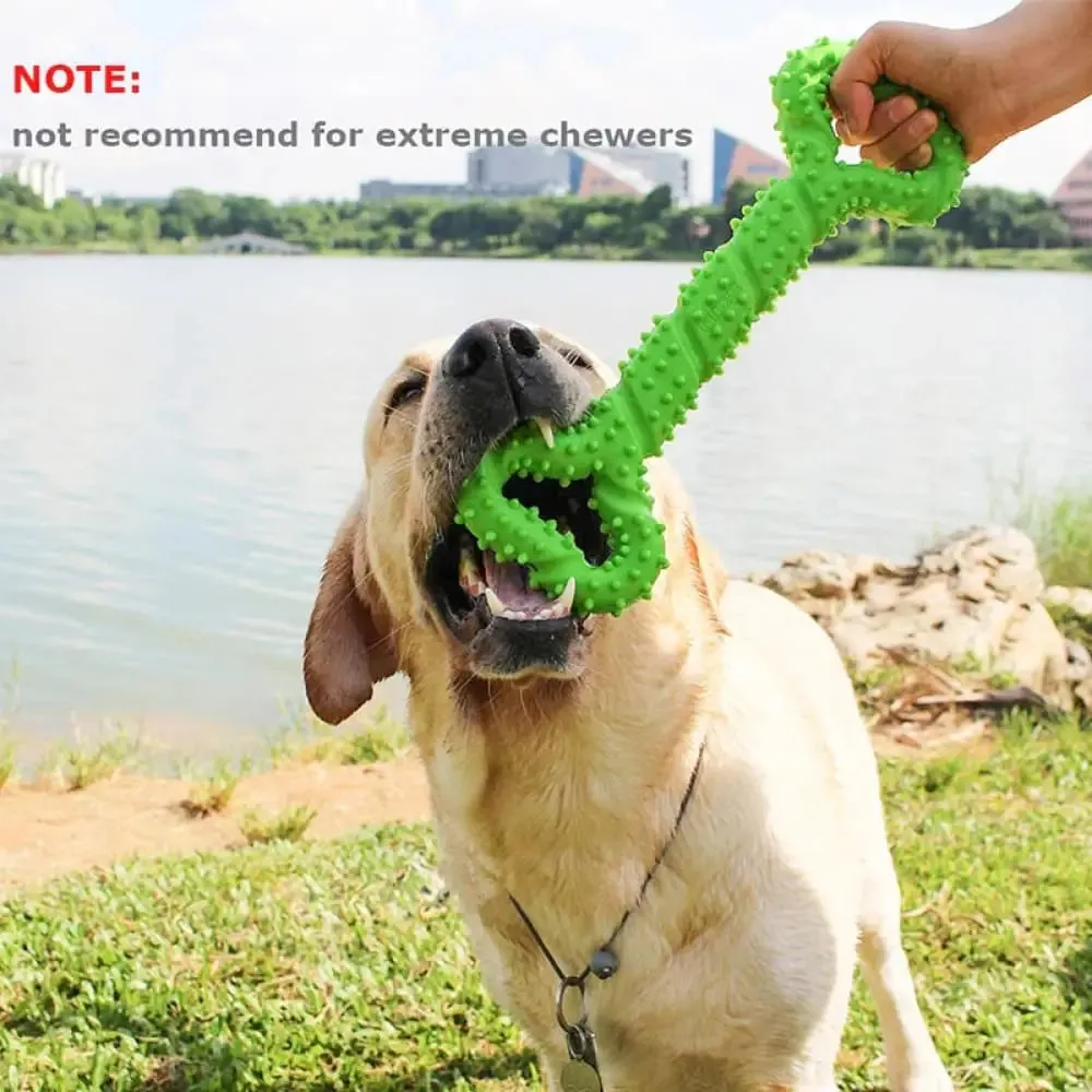 Durable Tooth Cleaning Interactive Dog Chew Bone Toy with Convex Design for Medium Large Dogs