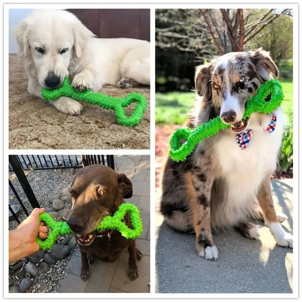Durable Tooth Cleaning Interactive Dog Chew Bone Toy with Convex Design for Medium Large Dogs