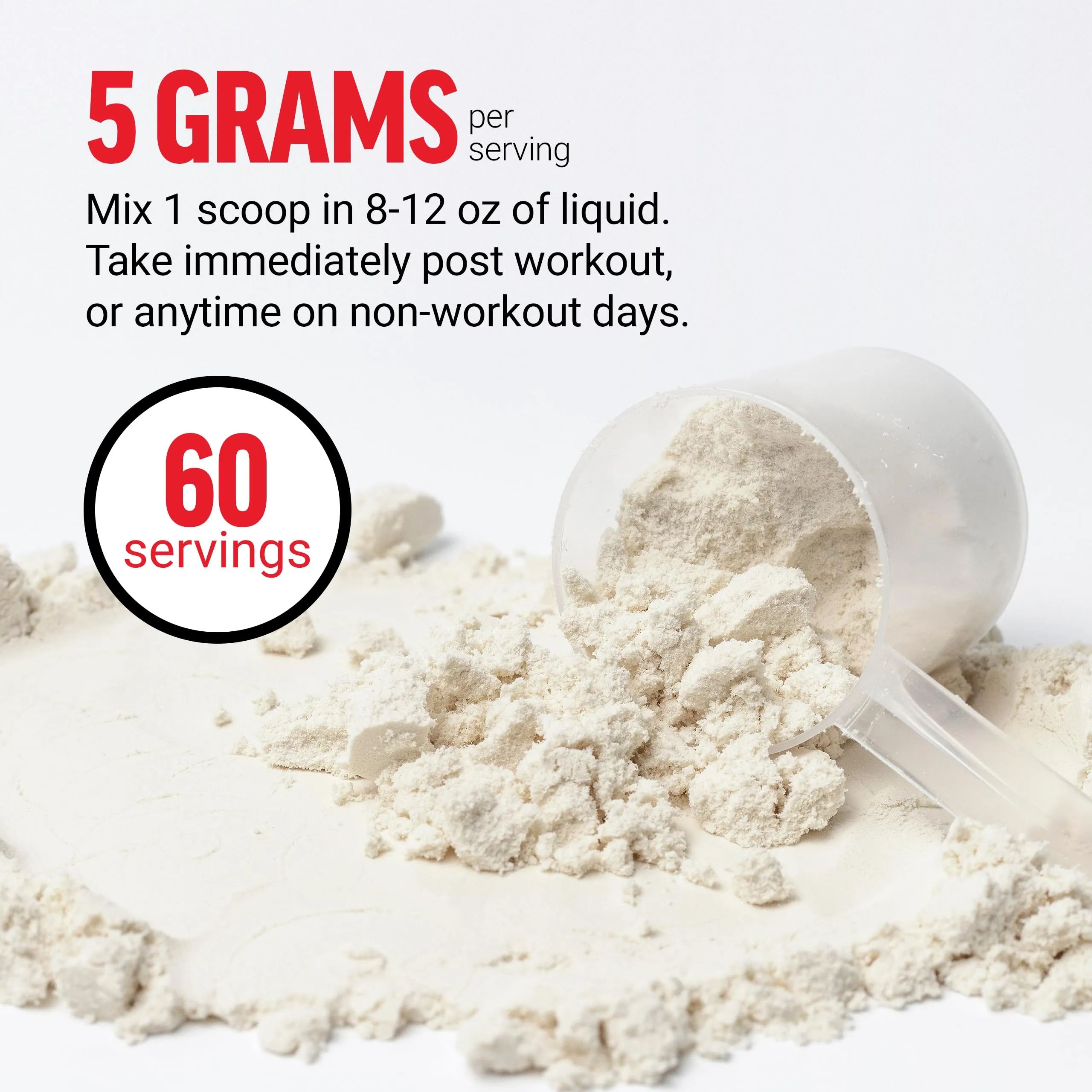 FORCE FACTOR Creatine Monohydrate, Creatine Powder for Muscle Gain, More Strength, and Faster Workout Recovery, Clinically Studied Micronized Creatine 5g Dose Per Serving, Unflavored, 60 Servings