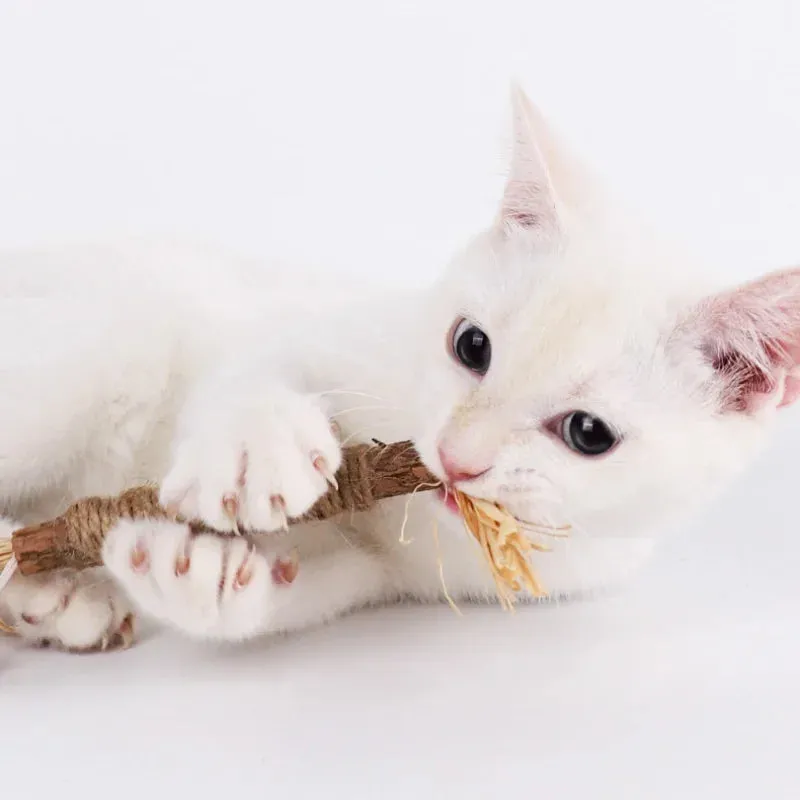 Organic Silvervine Cat Chew Sticks