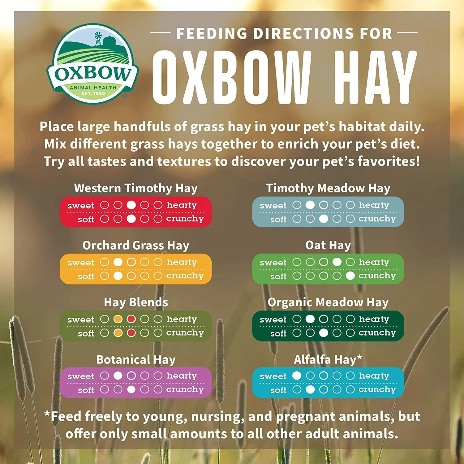Oxbow Oat Hay