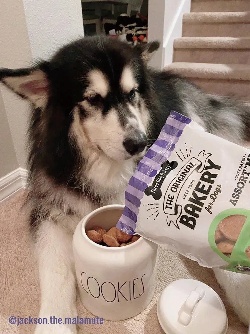 Peanut Butter Vanilla Oats Apple Soft Treats 26 Oz