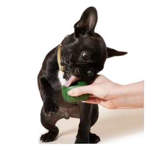 Woof Pet Pupsicle Treat Tray